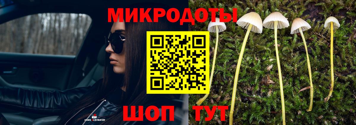 Псилоцибиновые грибы Psilocybe  Артём  цена наркотик  Галлюциногенные грибы прущие грибы 