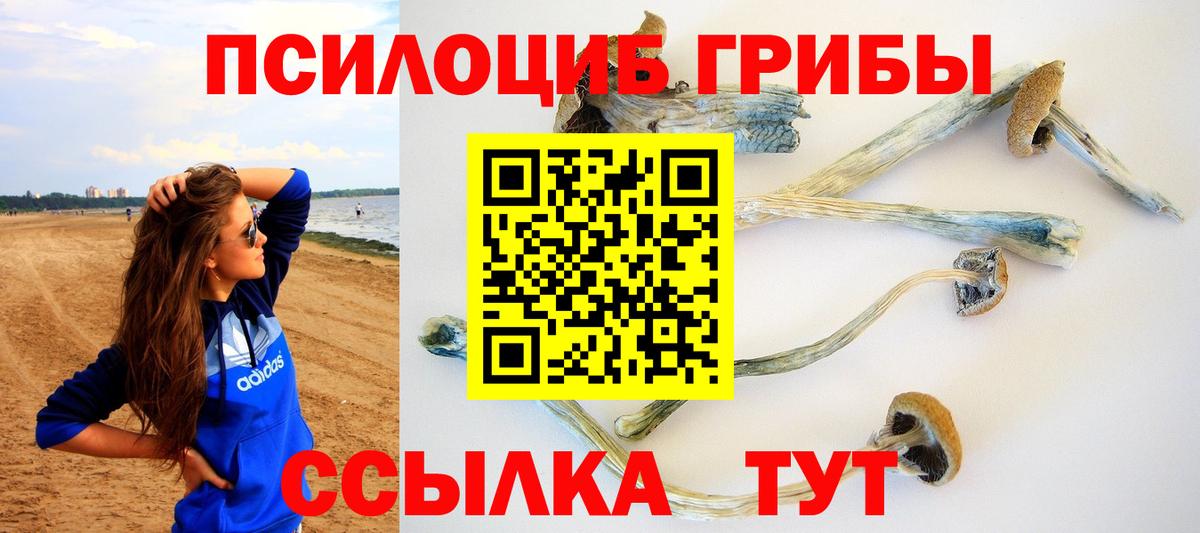 Псилоцибиновые грибы Magic Shrooms Артём